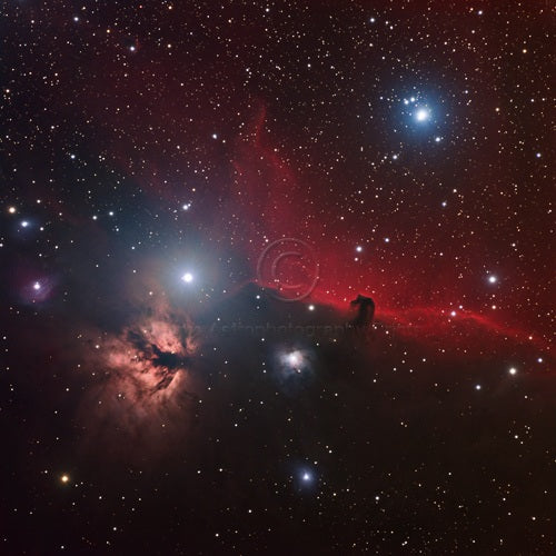 The Horsehead & Flame Nebula