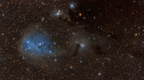 IC 447 Reflection Nebula in Monoceros