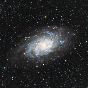 The Triangulum Galaxy (M33)