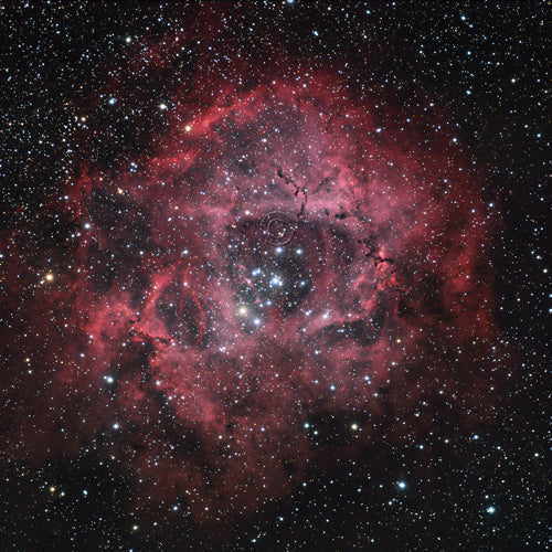 The Rosette Nebula