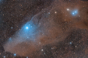 Summer Horsehead Scorpius